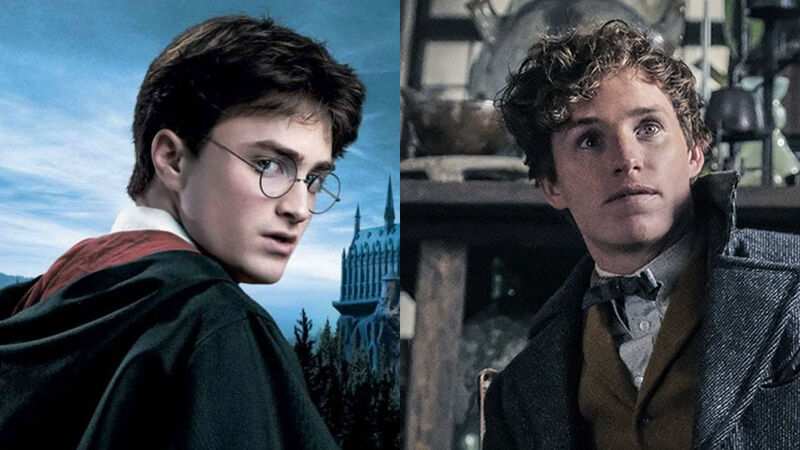 Which fantastic beast does not appear in Goblet of Fire?
