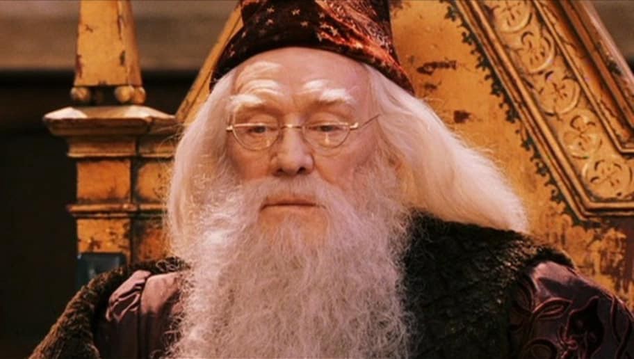 What does Dumbeldore tell Harry he sees when he looks into the Mirror of Erised?
