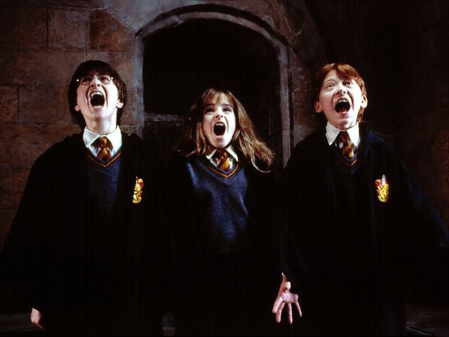 On what floor of Hogwarts do Harry, Ron, and Hermione find Fluffy?