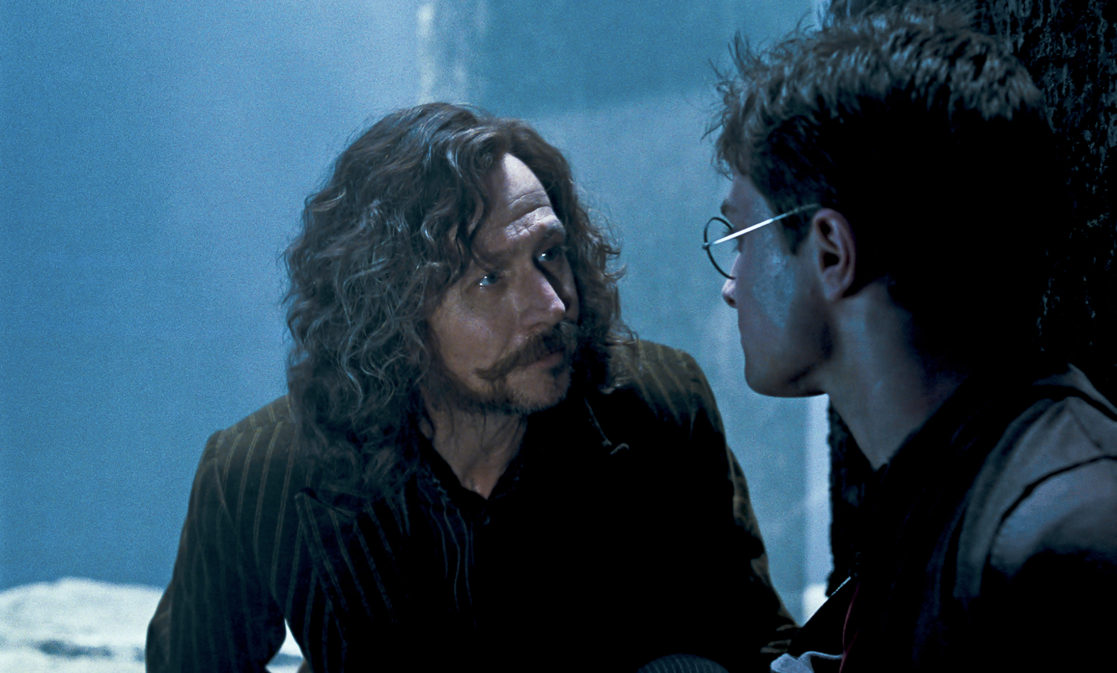 When Harry, Ron, and Hermione visit Sirius in the cave in Goblet of Fire, what food do they bring him?