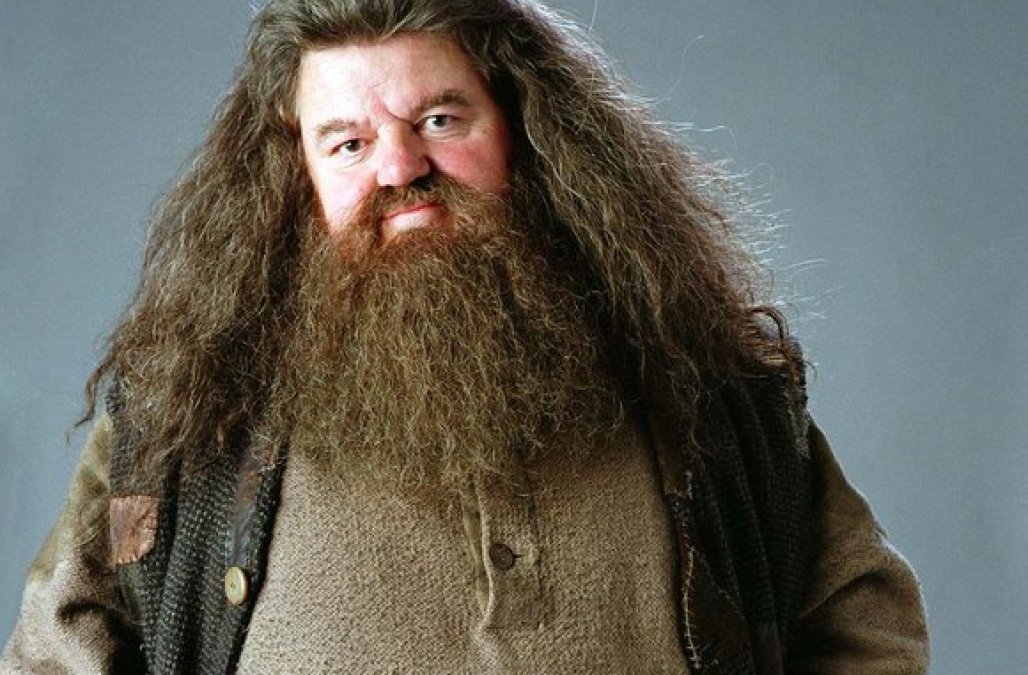What is the name of Hagrid’s boarhound?