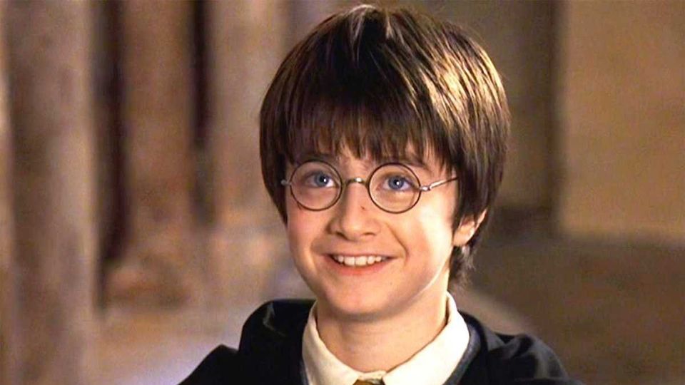 What career does Harry want to pursue after his time at Hogwarts?