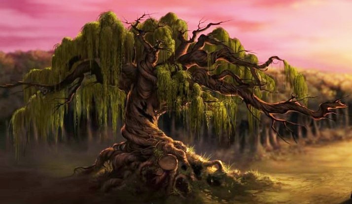 In what year was the Whomping Willow planted?