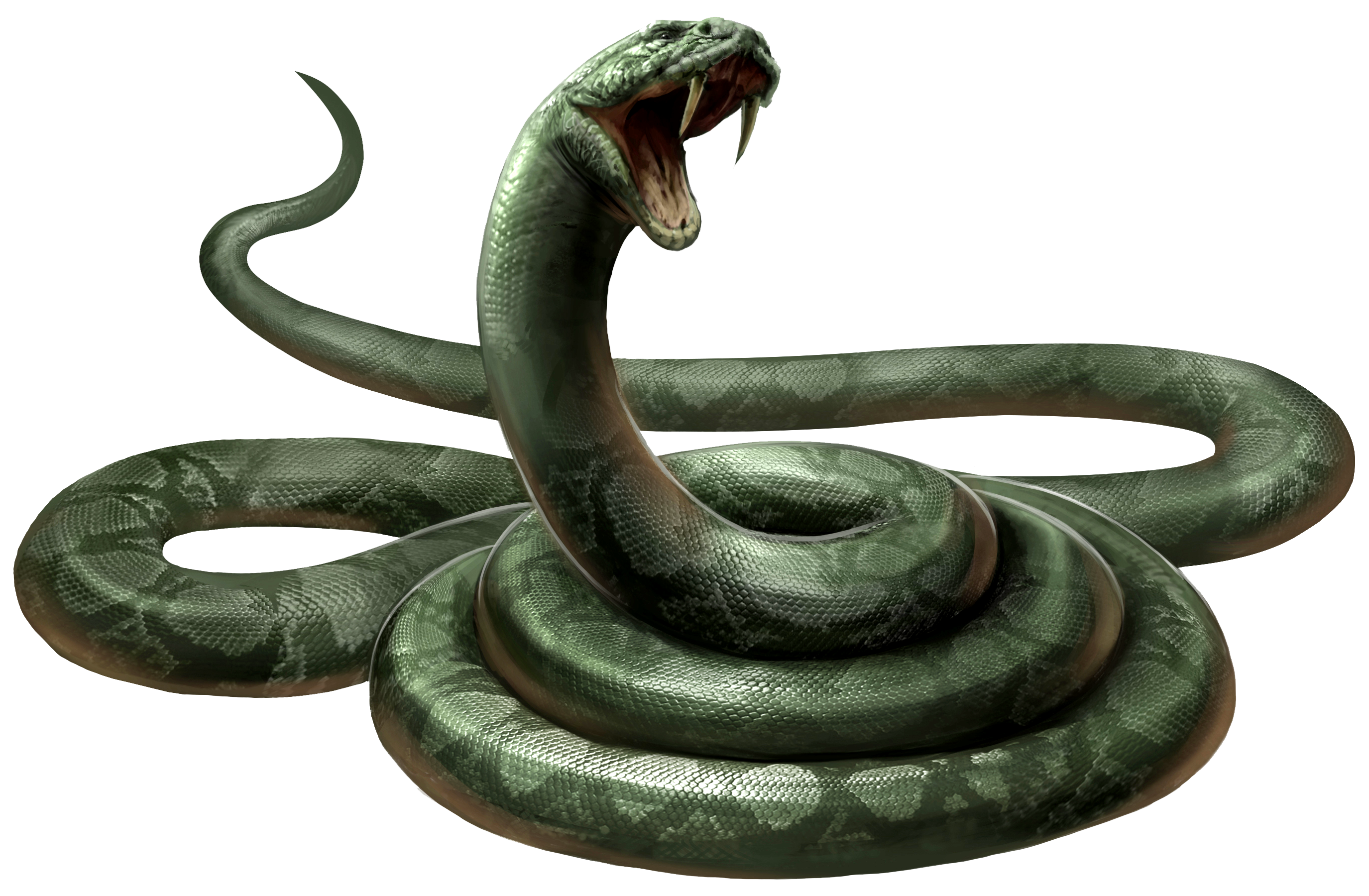 True or false: the spell Serpensortia conjures a snake?