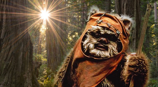 How do you feel about Ewoks?